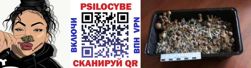 KRAKEN как войти как найти закладки Сортавала Псилоцибиновые грибы прущие грибы